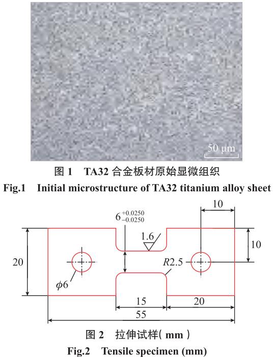 1694425469312888.jpg t1-2.jpg