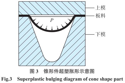 1694425485918056.jpg t3.jpg