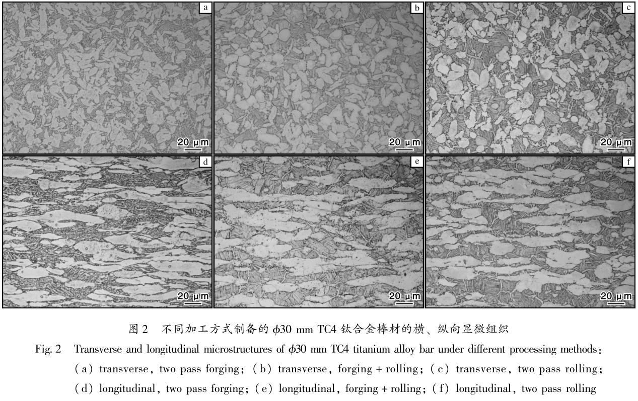 1695714560106503.jpg t2.jpg