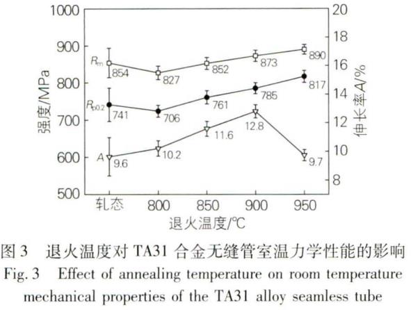 1695806270871325.jpg T3.jpg