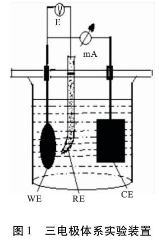 1695829795243106.jpg t1.jpg