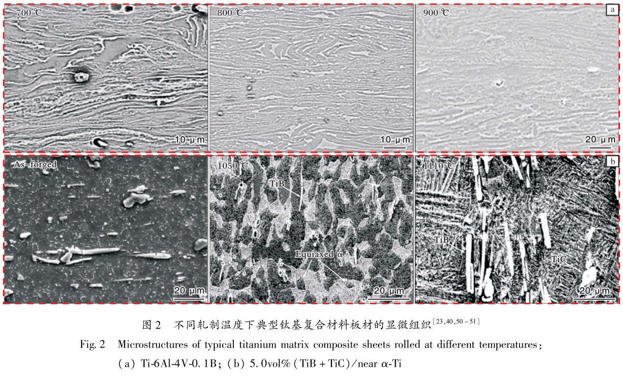 1697038226548041.jpg t2.jpg