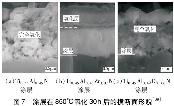 1701004193299789.jpg t7.jpg