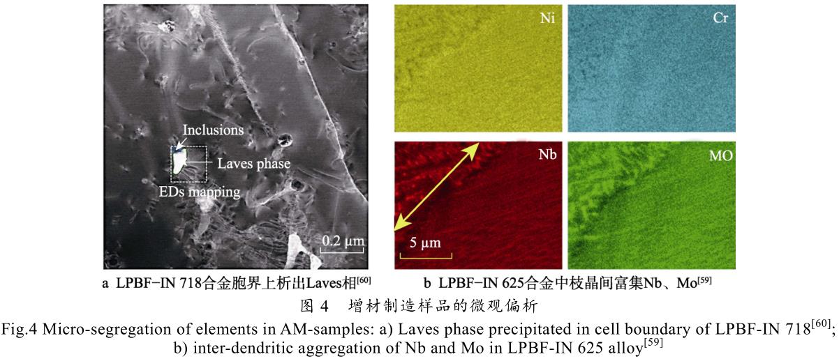 1708095362994108.jpg t4.jpg