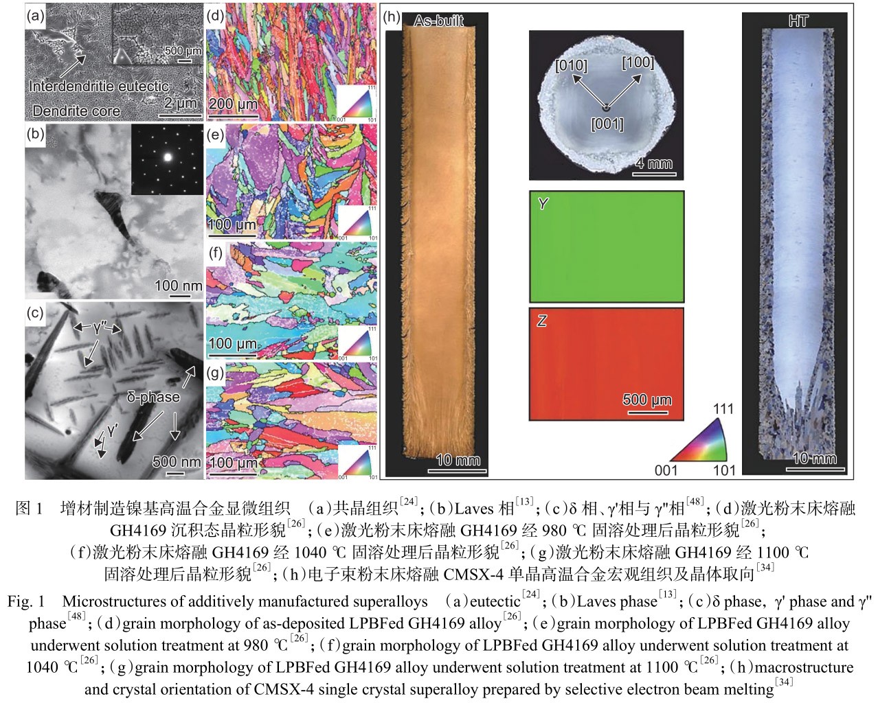 1713323845904176.jpg t1.jpg