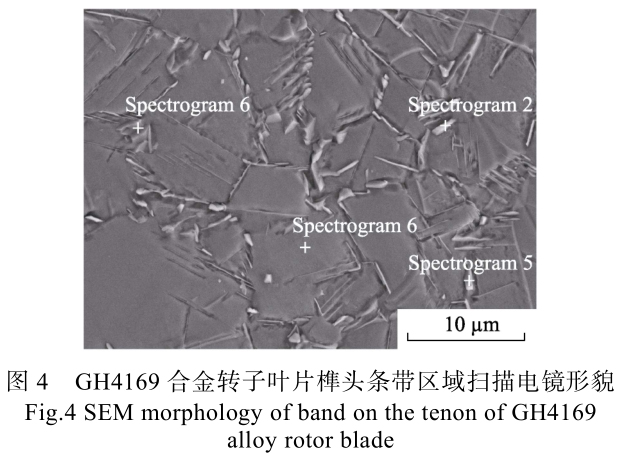 1713672488510834.jpg t4.jpg