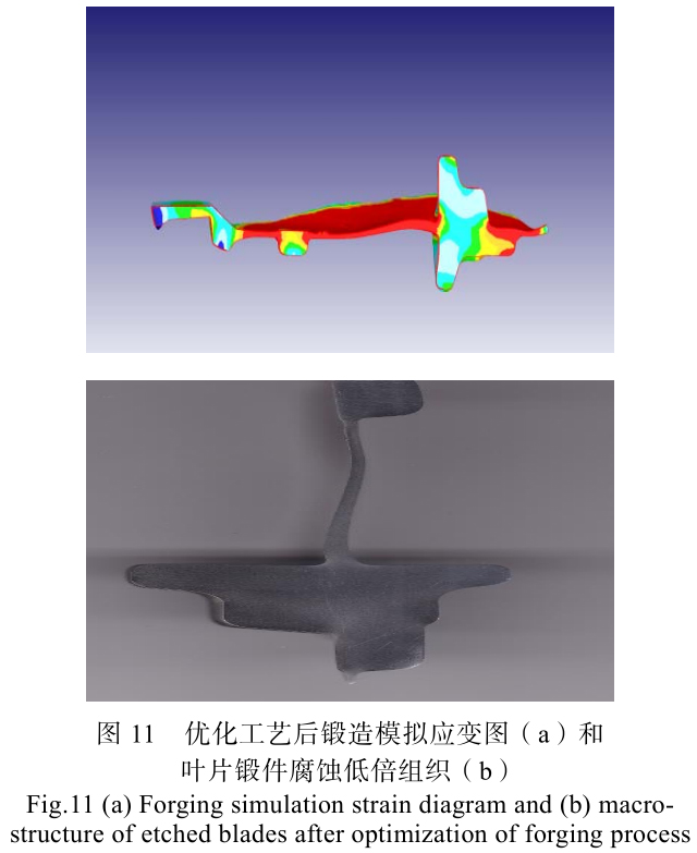 1713672589226183.jpg t11.jpg