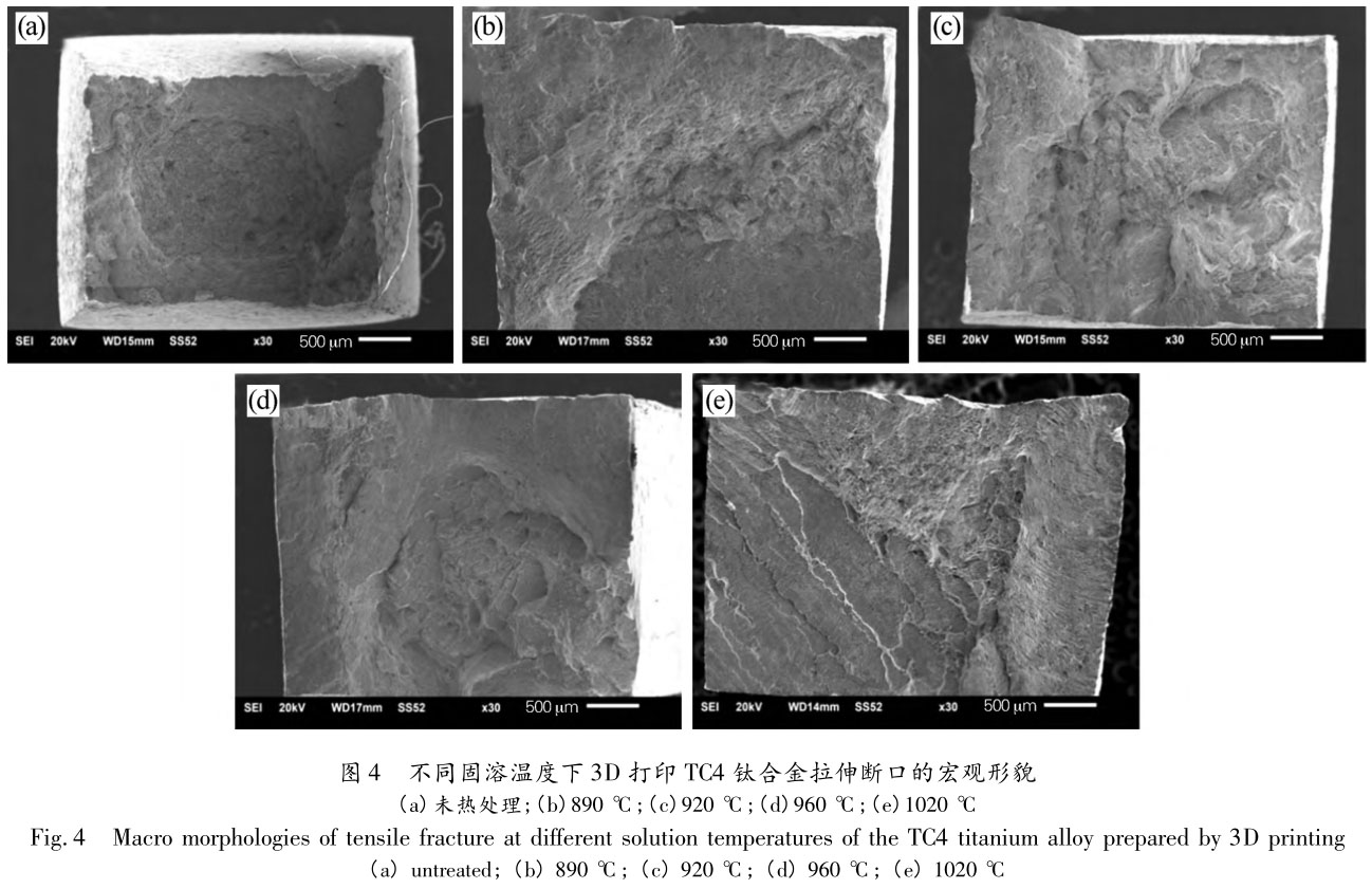 1705810648606404.jpg t4.jpg