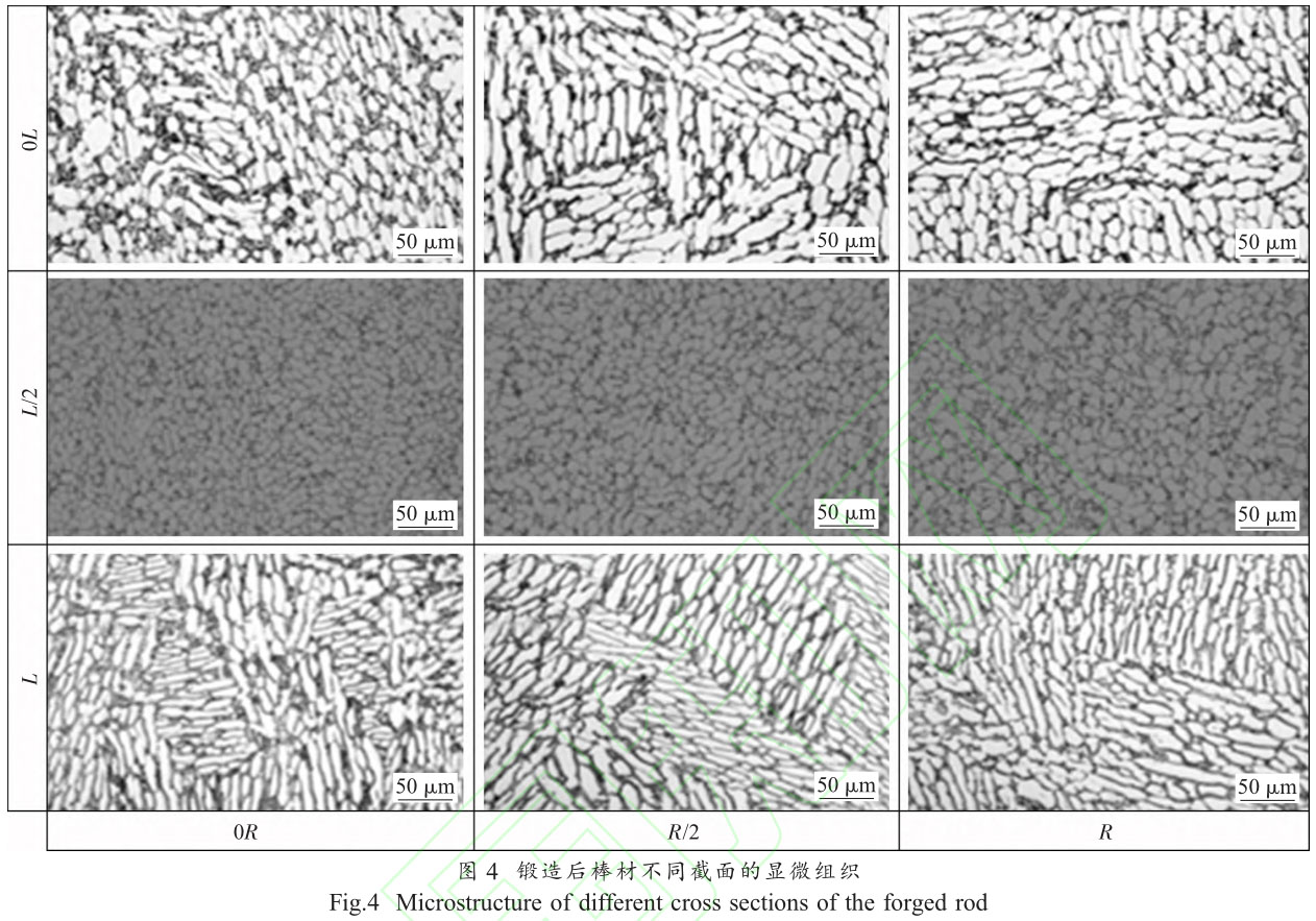 1716196706444913.jpg 未標(biāo)題-2.jpg