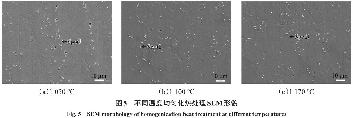 1716214906224890.jpg 360截圖16310328246930.jpg