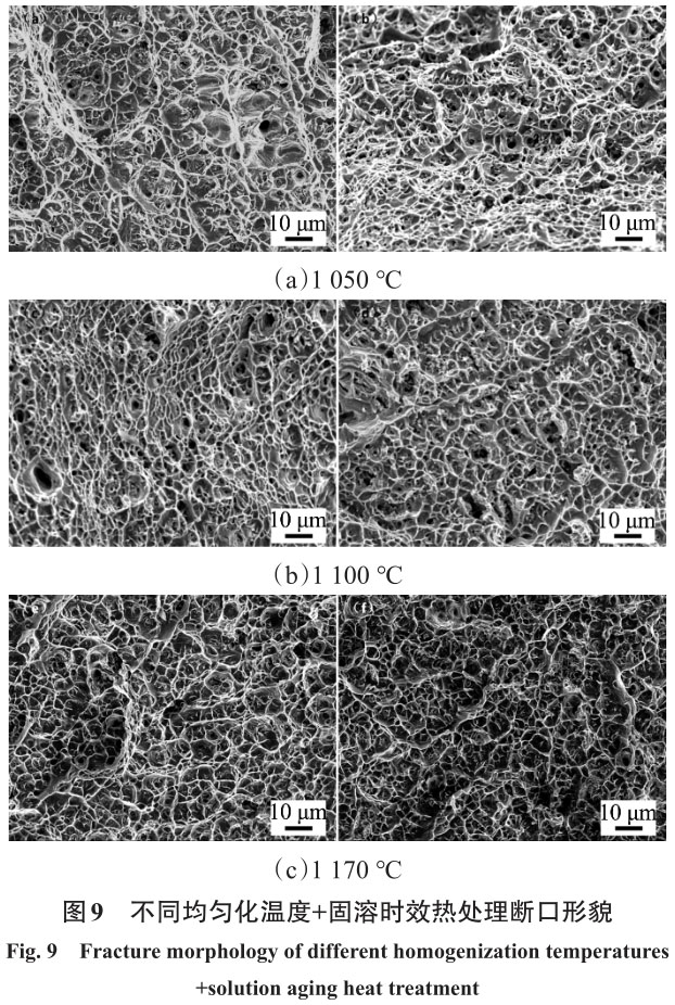 1716215712209014.jpg 未標題-4.jpg