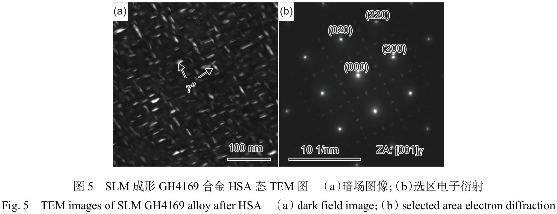 1716285226567646.jpg 未標(biāo)題-3.jpg