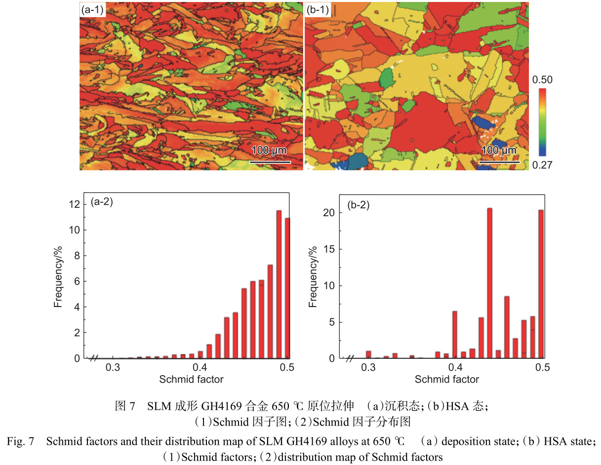1716285256361949.jpg 未標(biāo)題-6.jpg