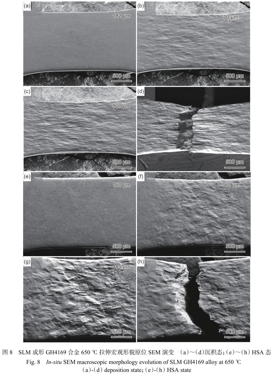 1716285265864918.jpg 未標(biāo)題-7.jpg