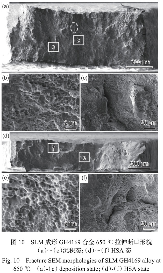 1716285287952790.jpg 未標(biāo)題-9.jpg