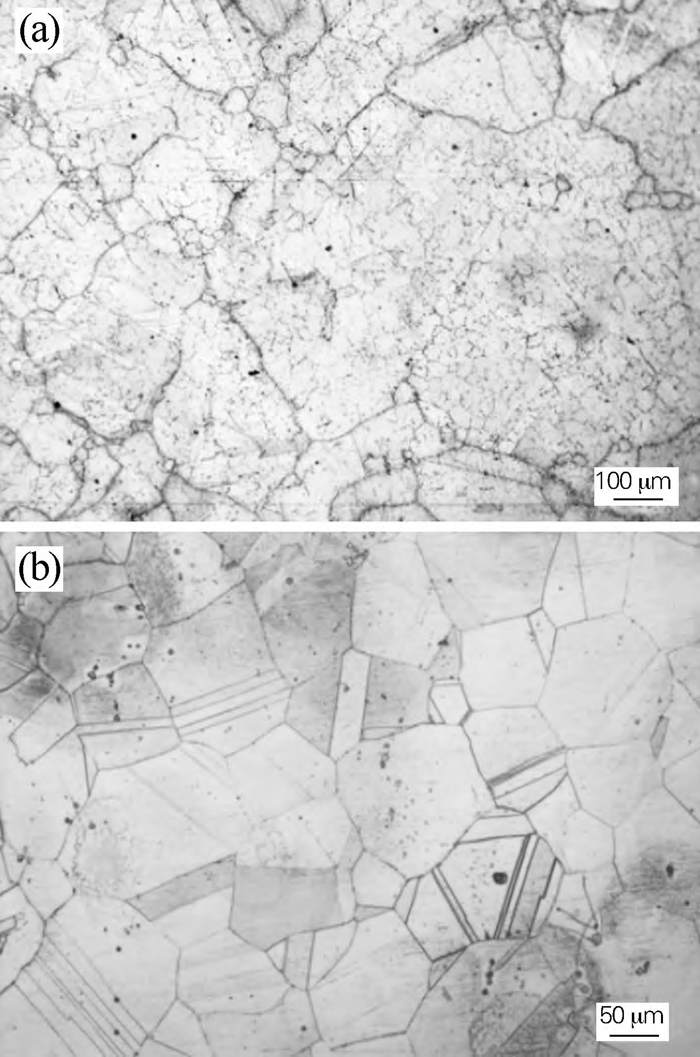 1716341400382133.jpg 5.jpg