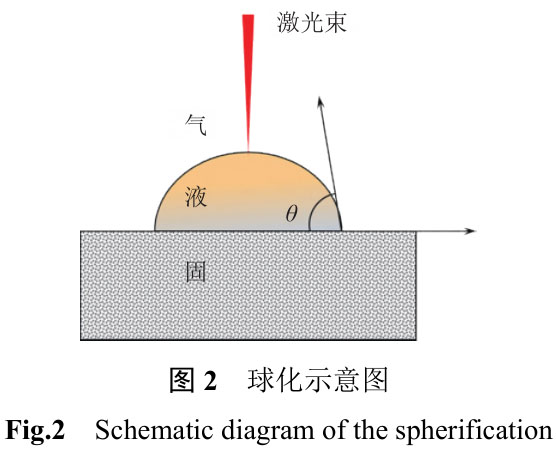 1716382659301648.jpg 2.jpg