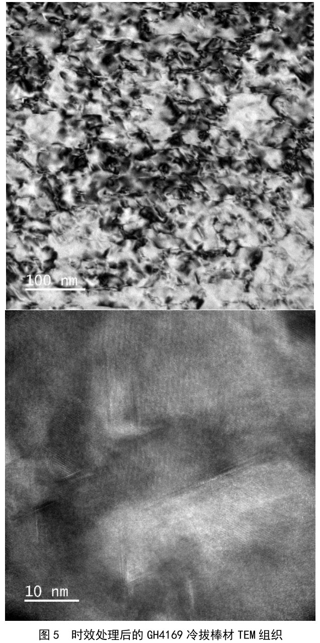 1716603322789870.jpg t5.jpg