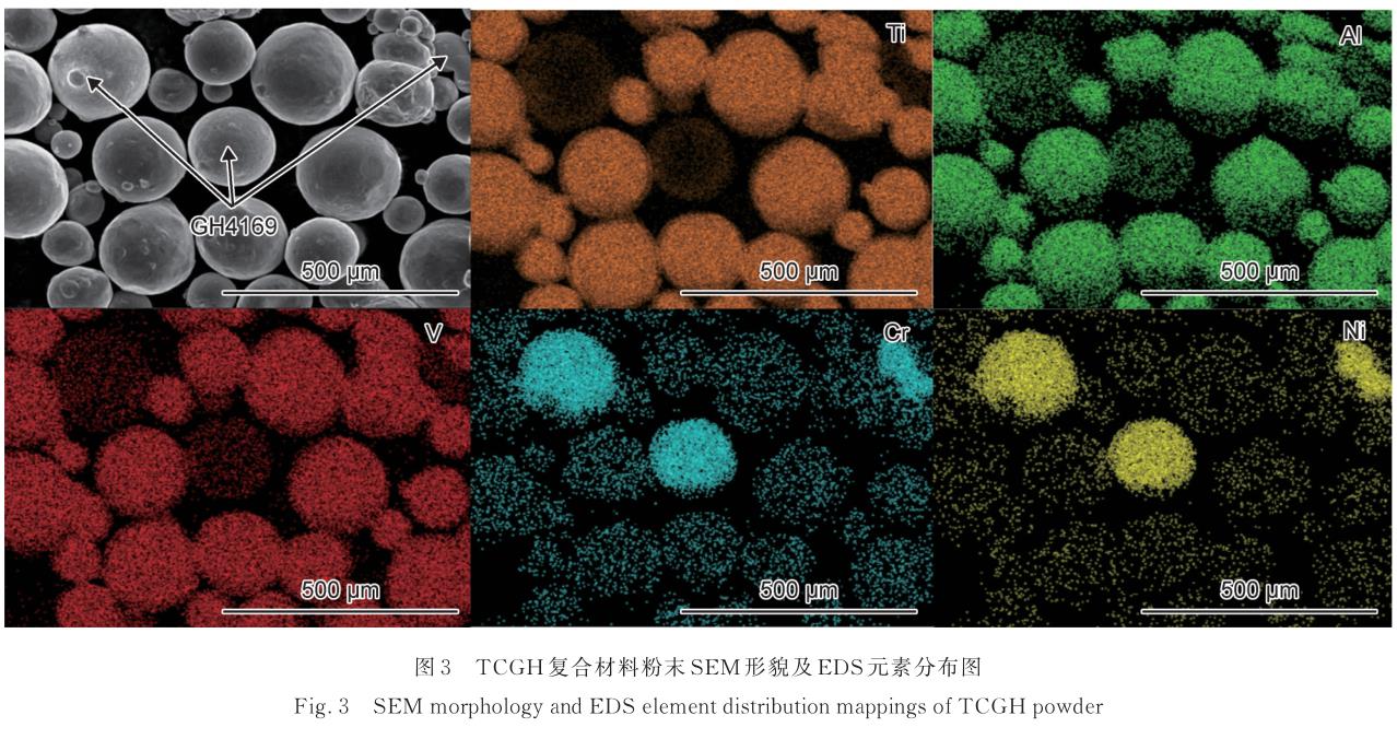 1720841272630802.jpg t3.jpg