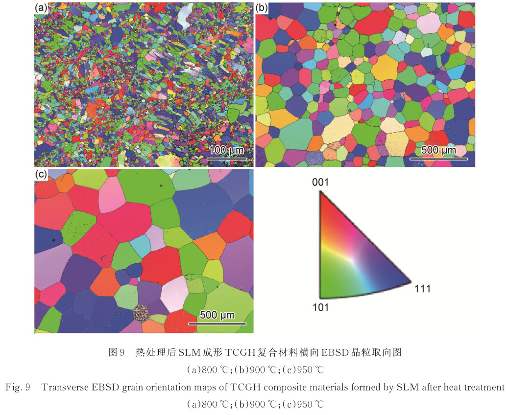 1720841333905596.jpg t9.jpg