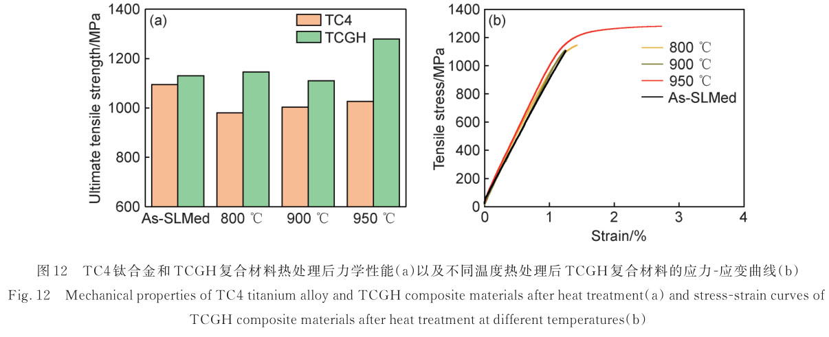 1720841364870809.jpg t12.jpg