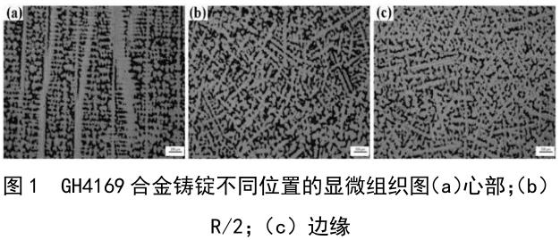 1722675545125997.jpg t1.jpg