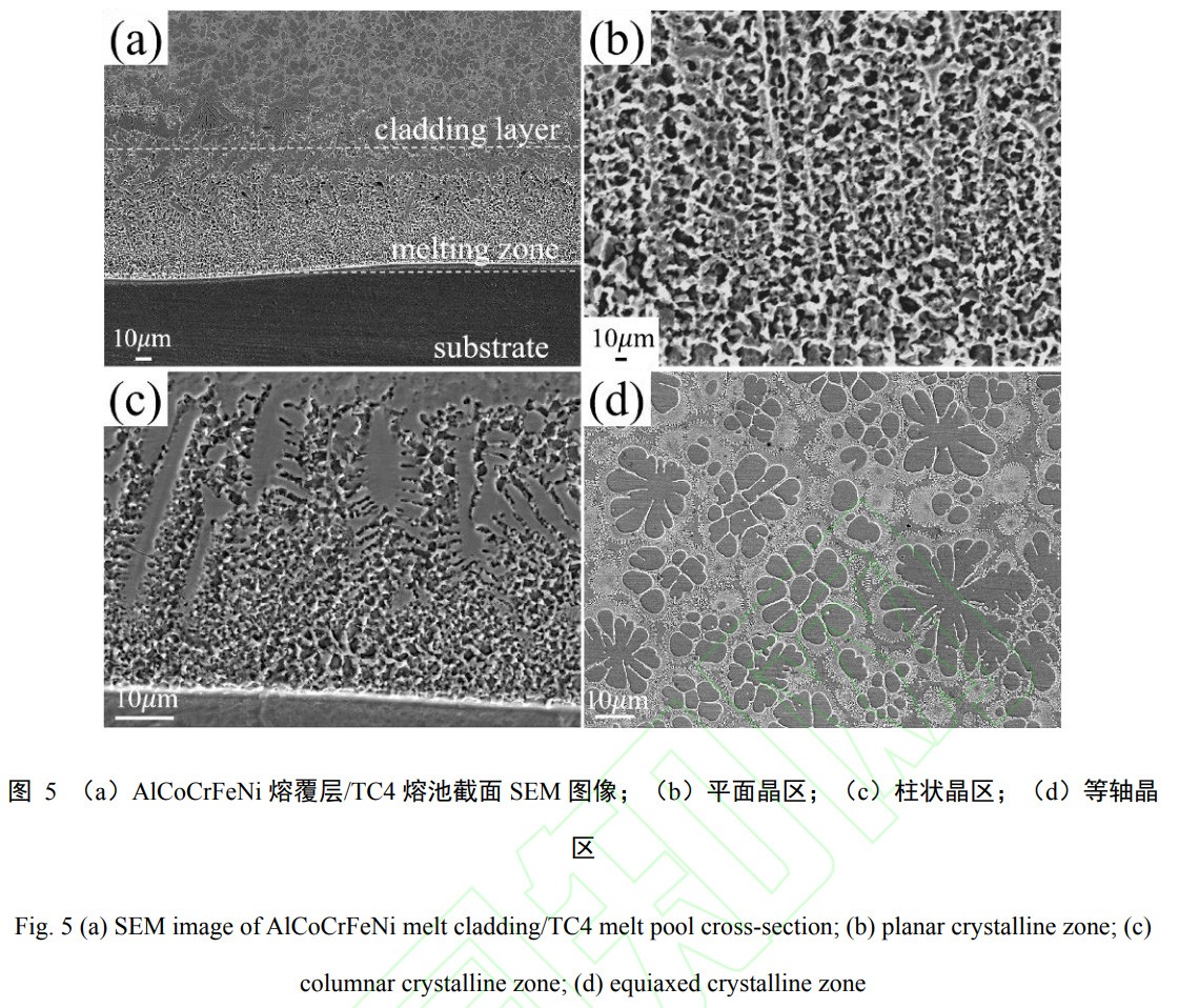 1739076751206565.jpg t5.jpg